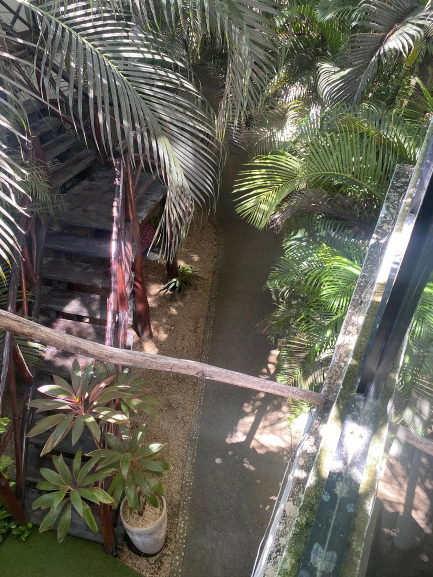 Pacha Boutique Hotel