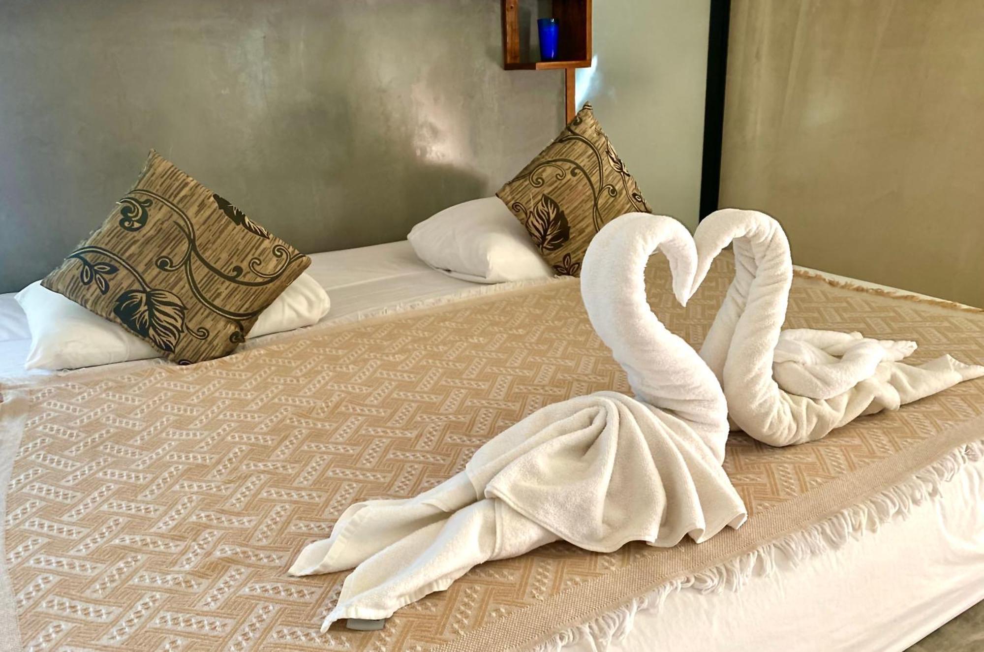 Hotel Pacha Boutique