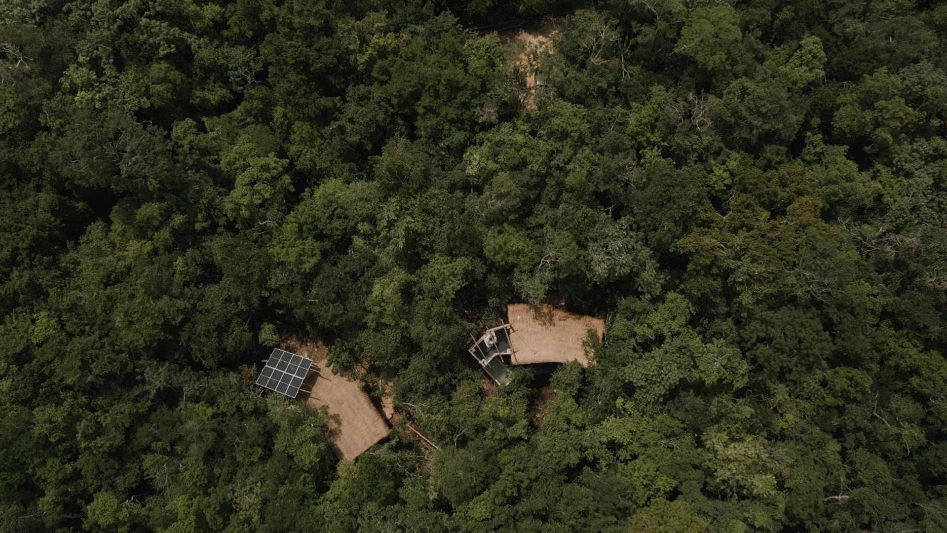 Pousada Ojo De Arbol, Boutique In The Real Jungle