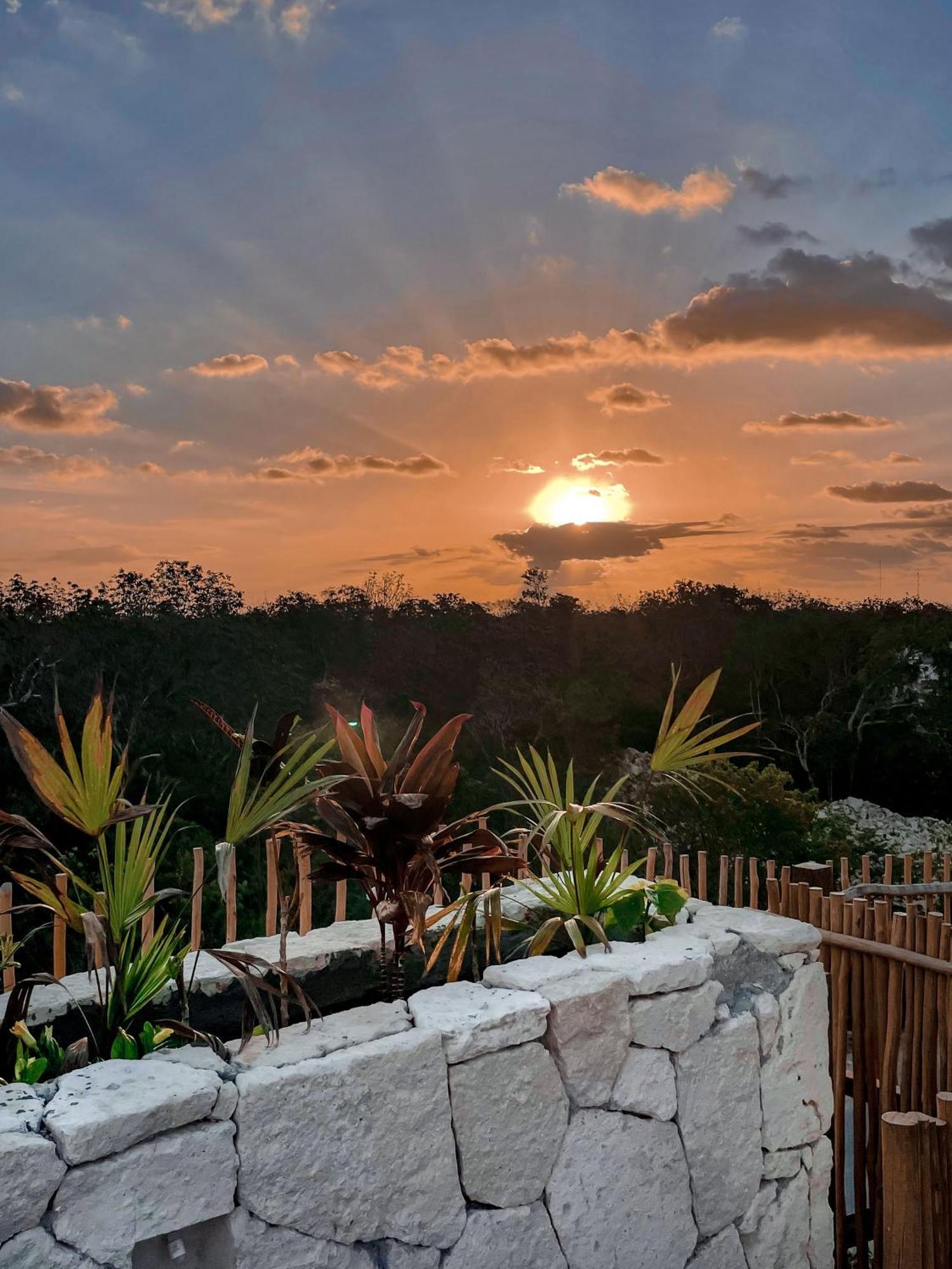 Jungle Boho Designer 11 W50 Off Access Bardo Apartment Tulum