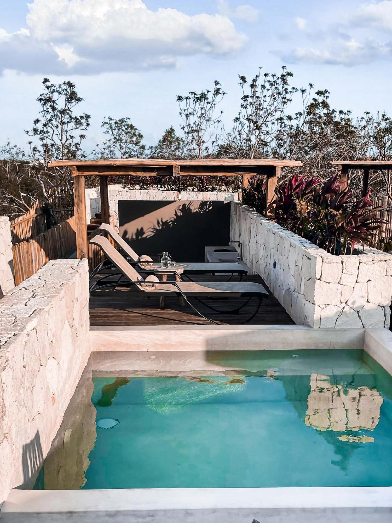 Apartment Jungle Boho Designer 11 W50 Off Access Bardo Tulum