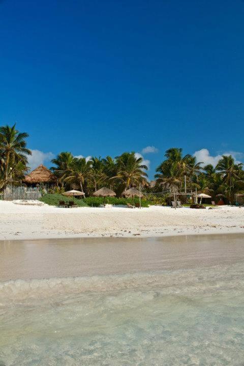 Alojamento Playa Selva *