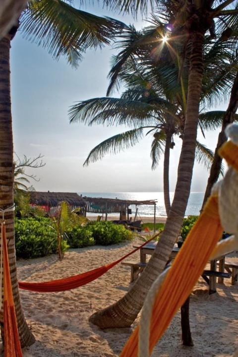Alojamento Playa Selva *
