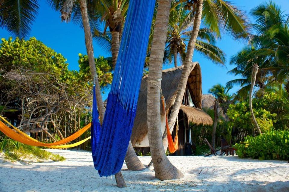 Alojamento Playa Selva