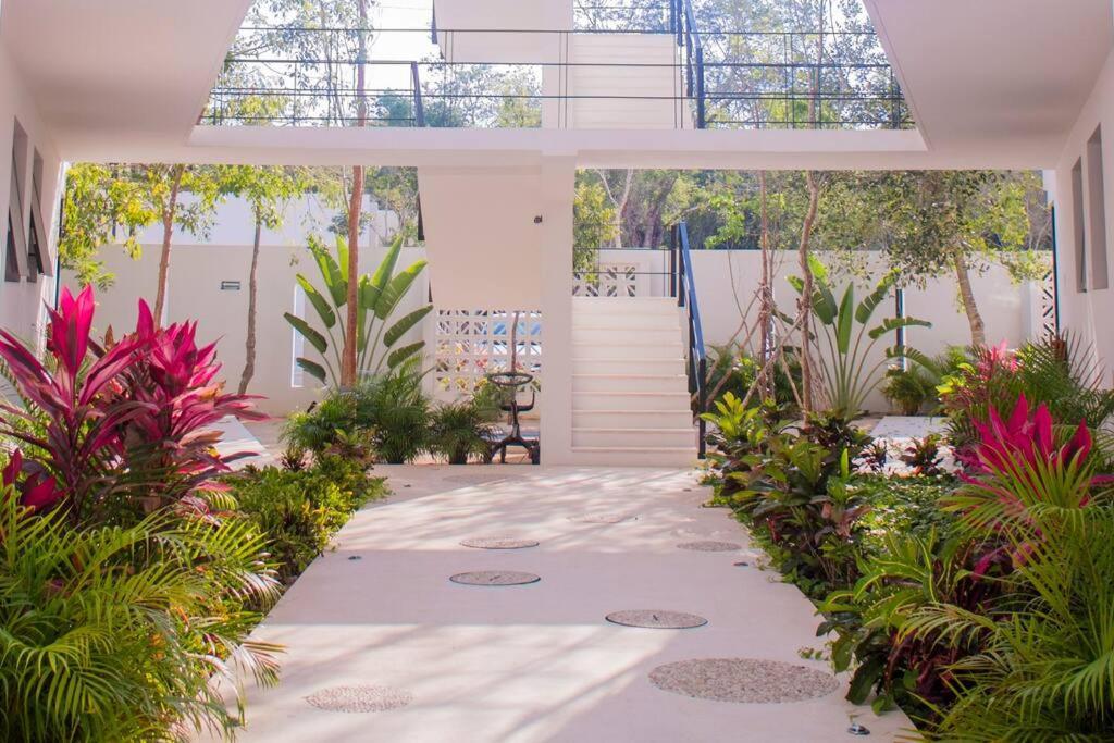 Park Tulum-ph Con Piscina Privada-3 Rec By Sandy Powerful Apartment *