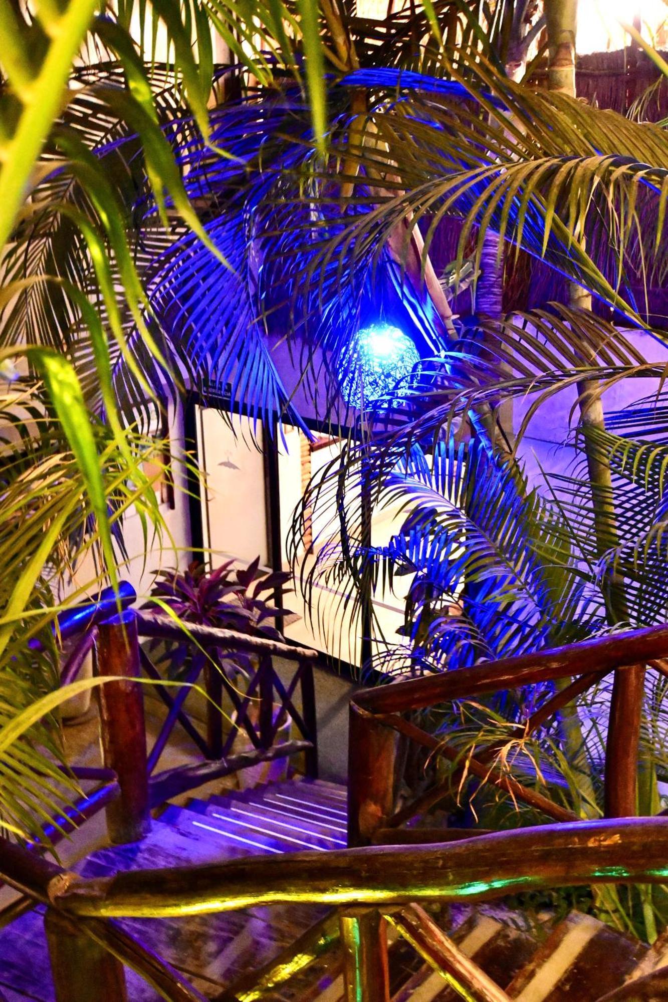 Pacha Boutique Tulum