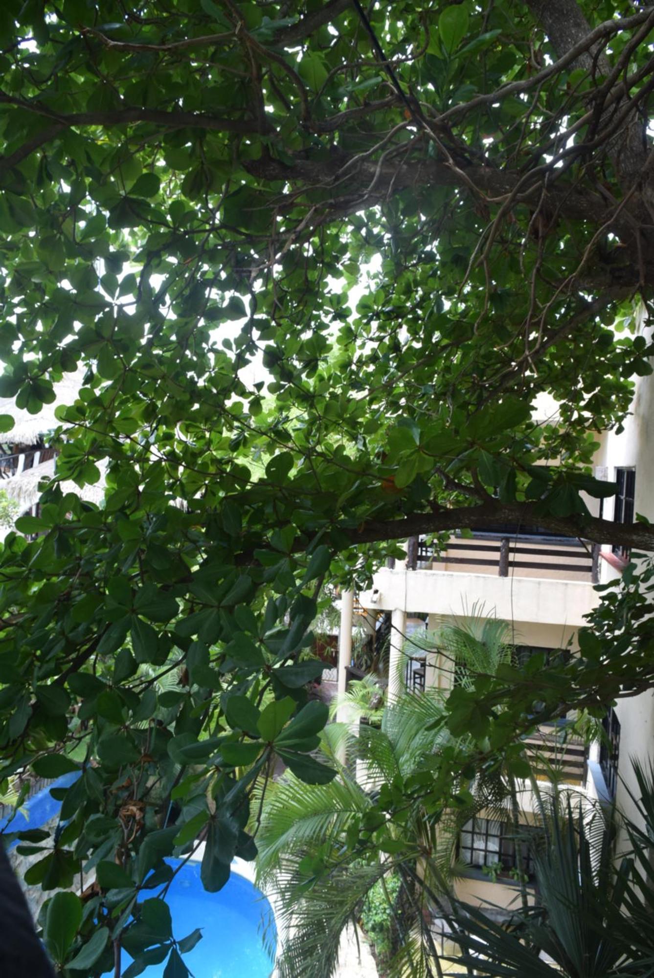 Hotel Casa El Moro 3*