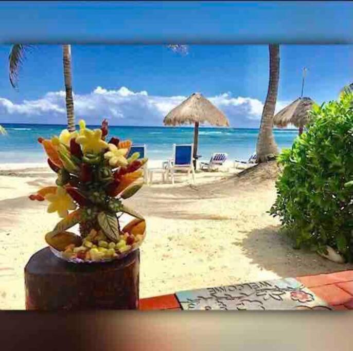 Apartamento Beachfront Half Moon Bay *