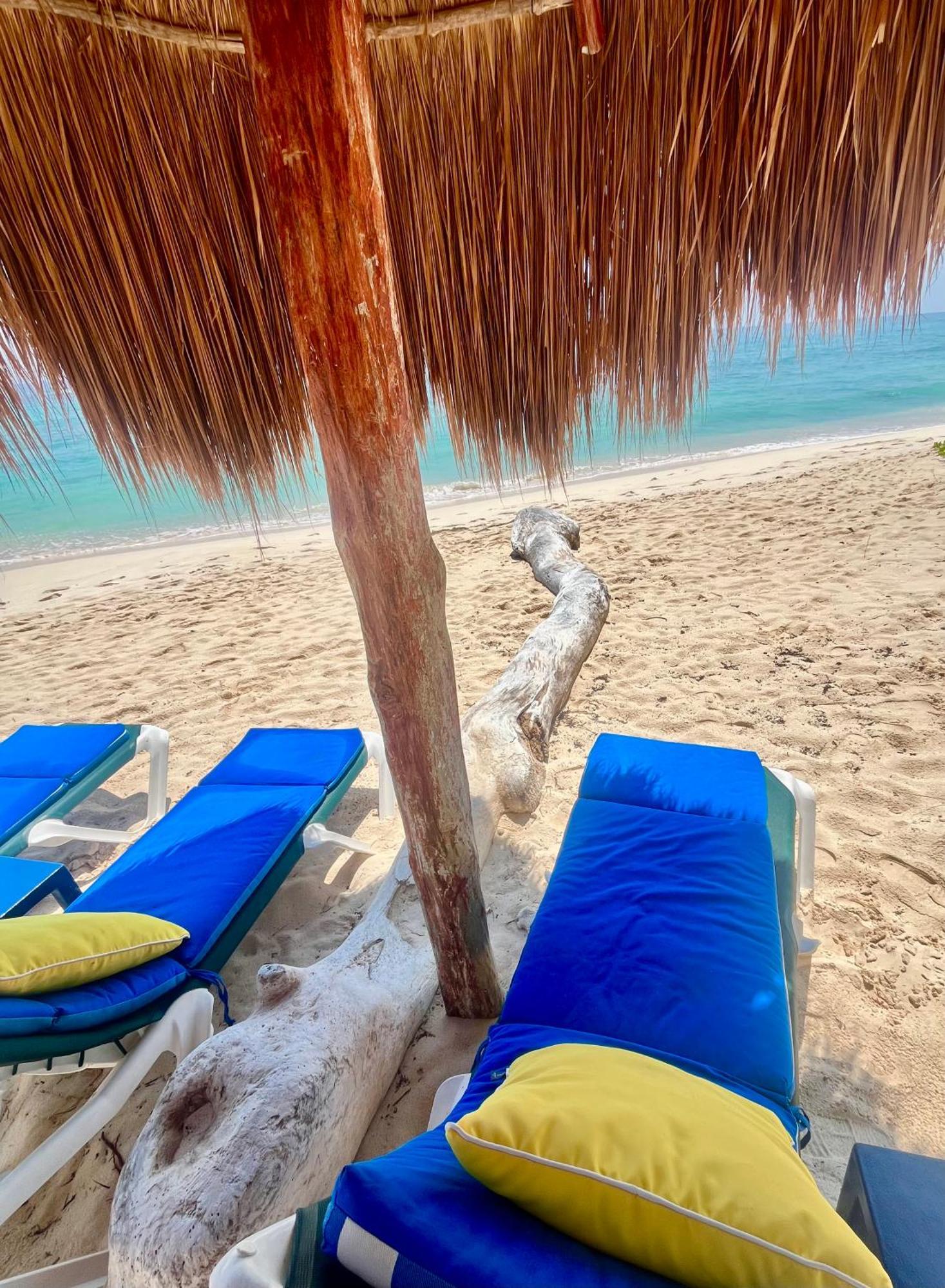 Beachfront Hammock Heaven Apartment Akumal