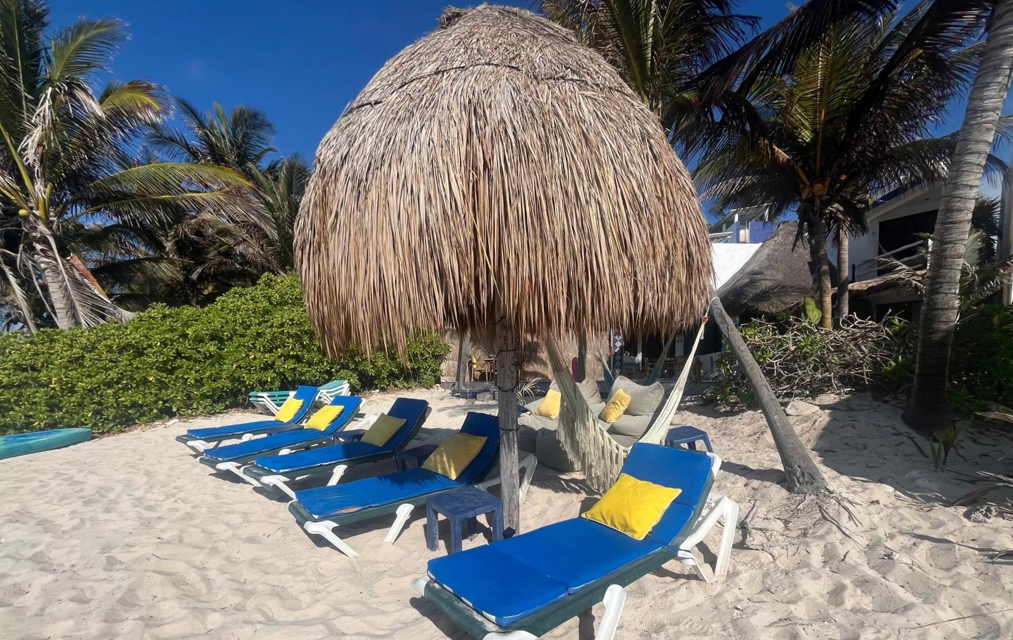 Beachfront Hammock Heaven Apartment *