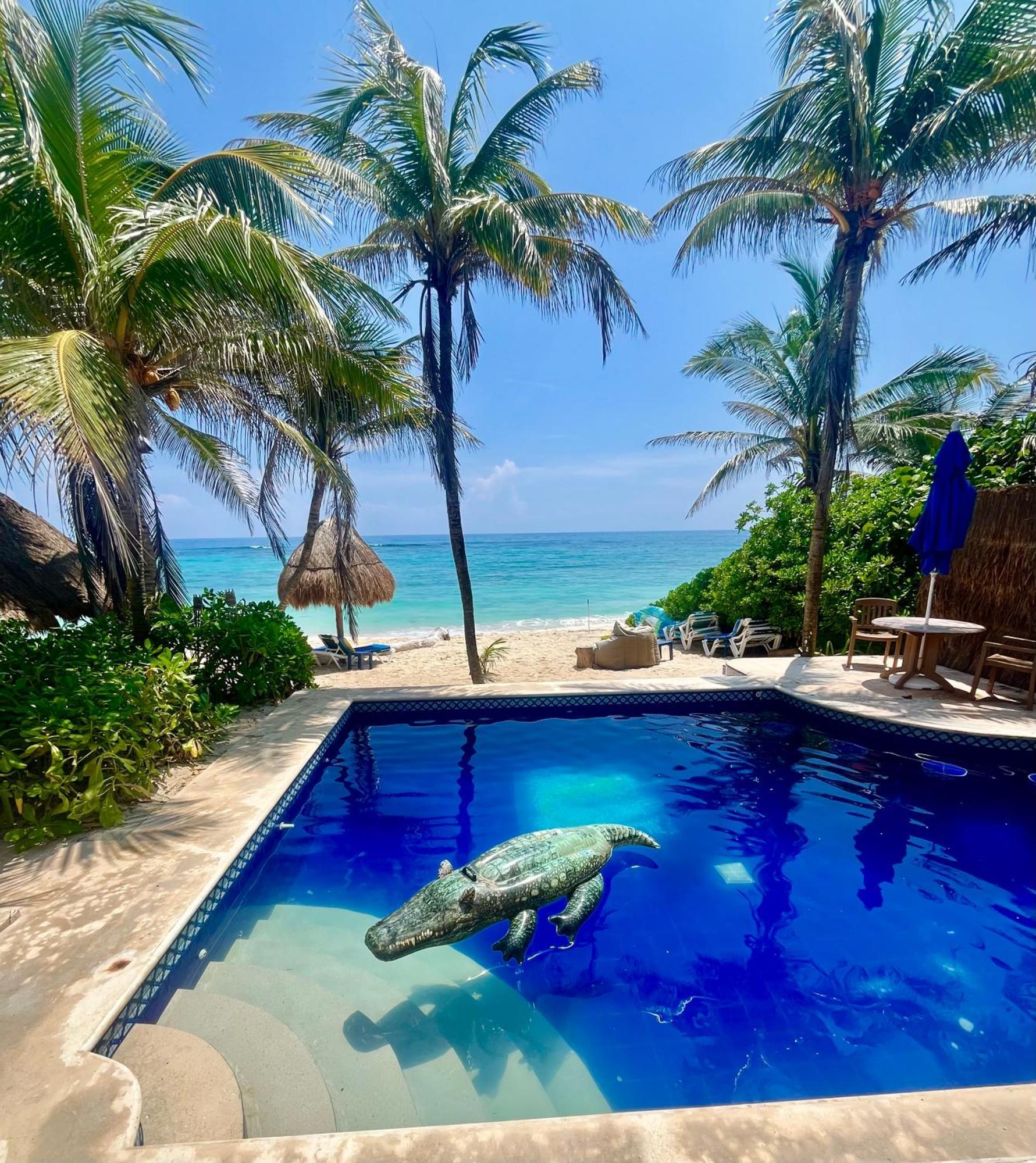 Apartment Beachfront Hammock Heaven *
