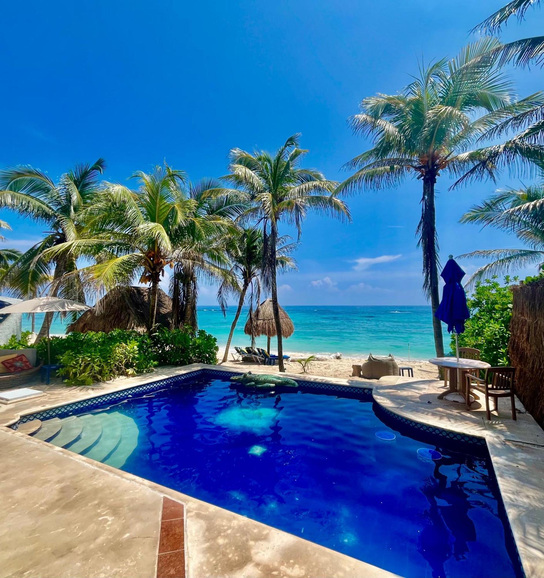 Beachfront Hammock Heaven
