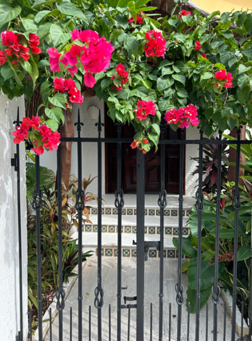 La Buena Vida Suites (Adults Only) Apartment