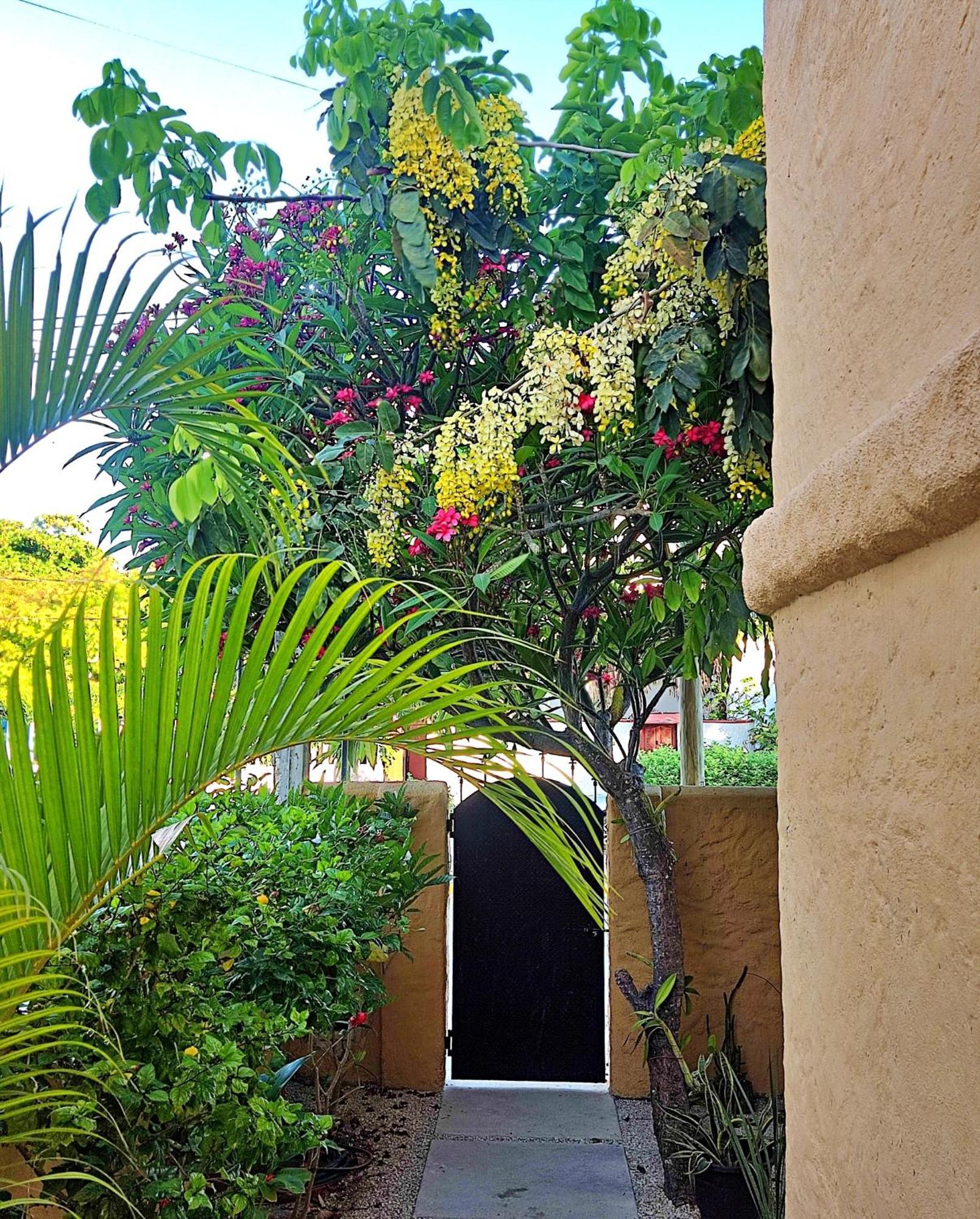 Norte, Casa Brisamar Apartment *
