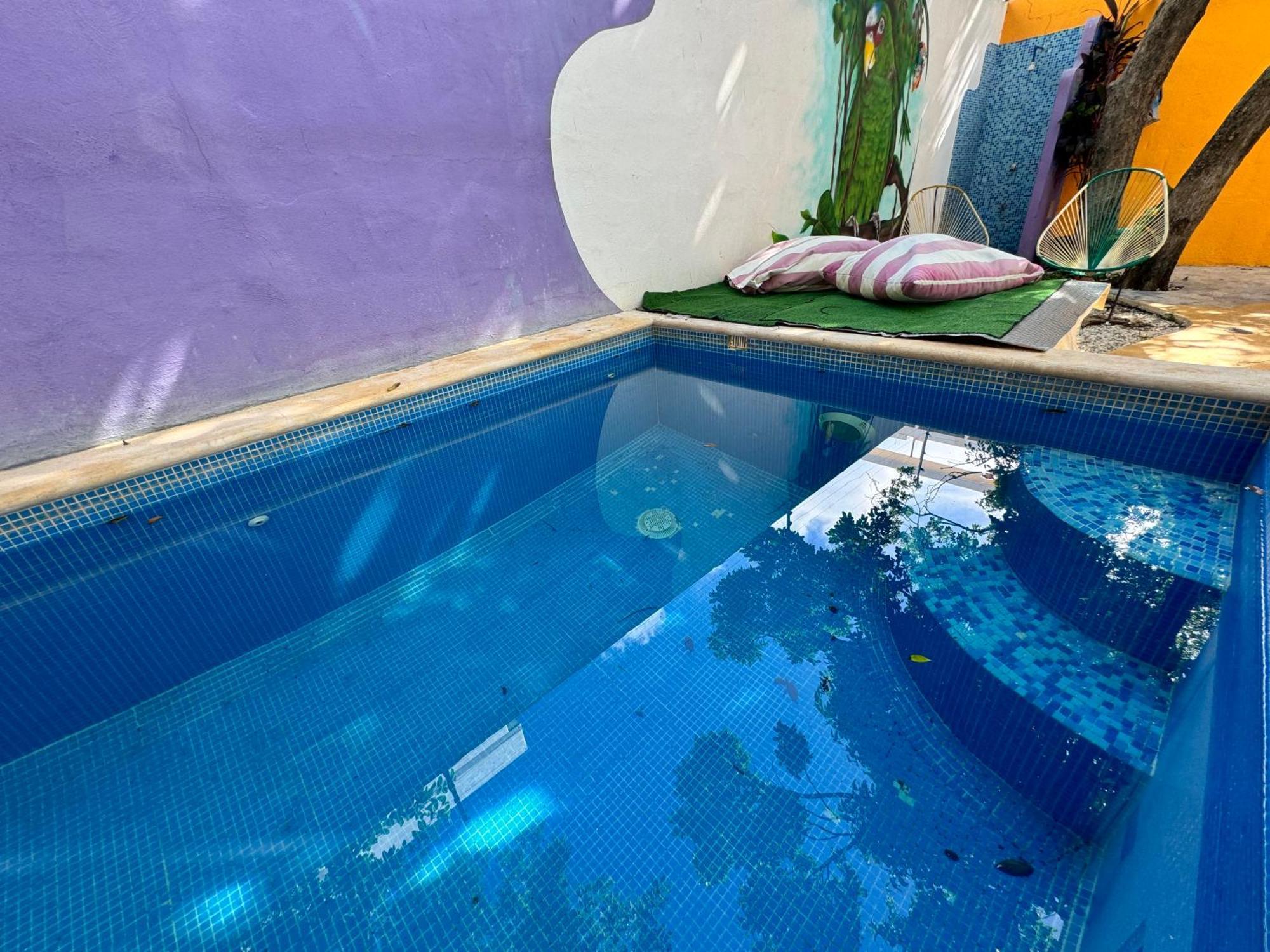 Vainilla Mexico 2*