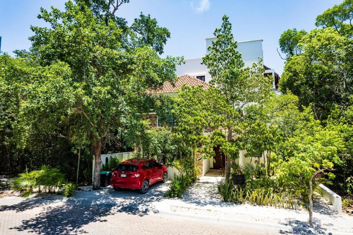 Charming With Pool In Aldea Zama
