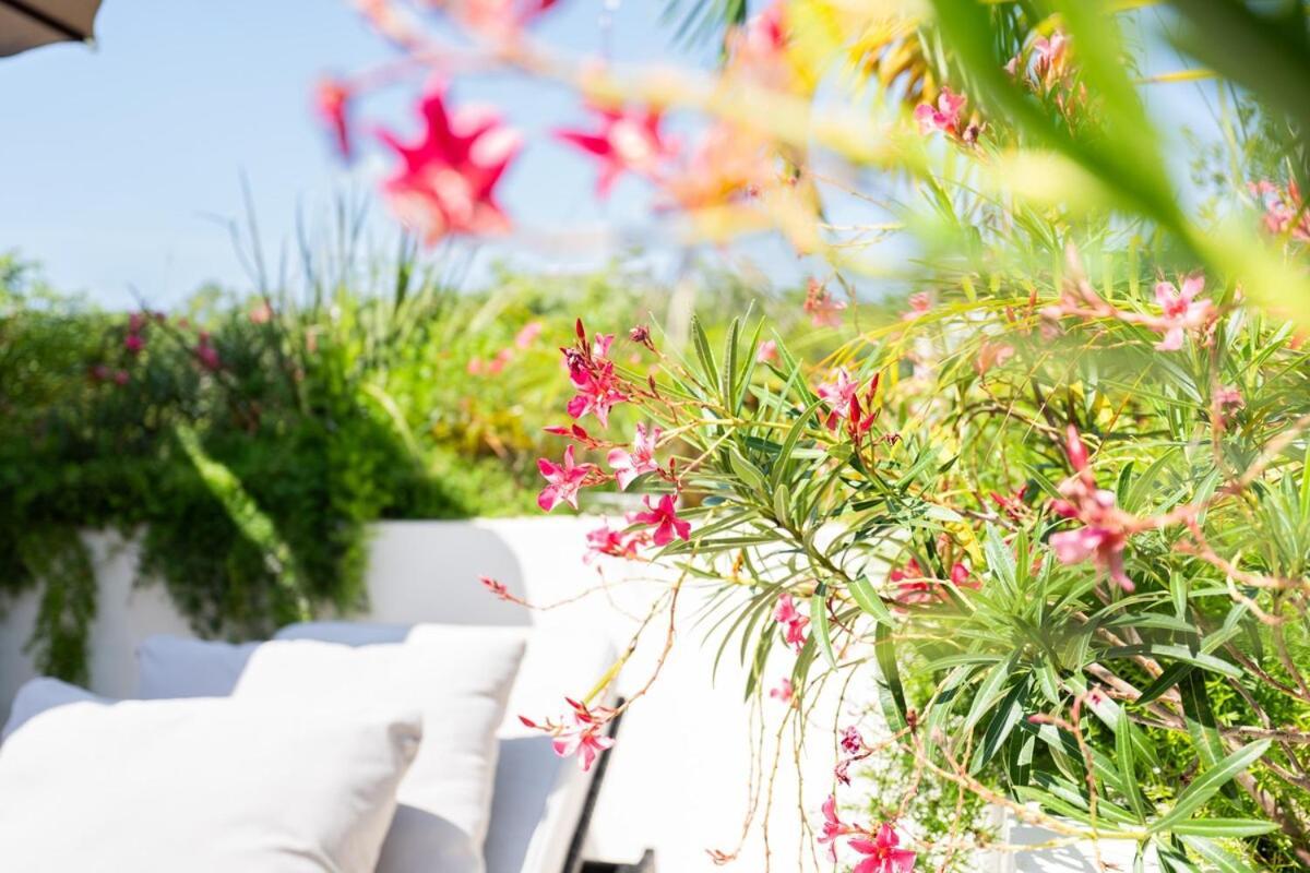 Charming With Pool In Aldea Zama Villa *