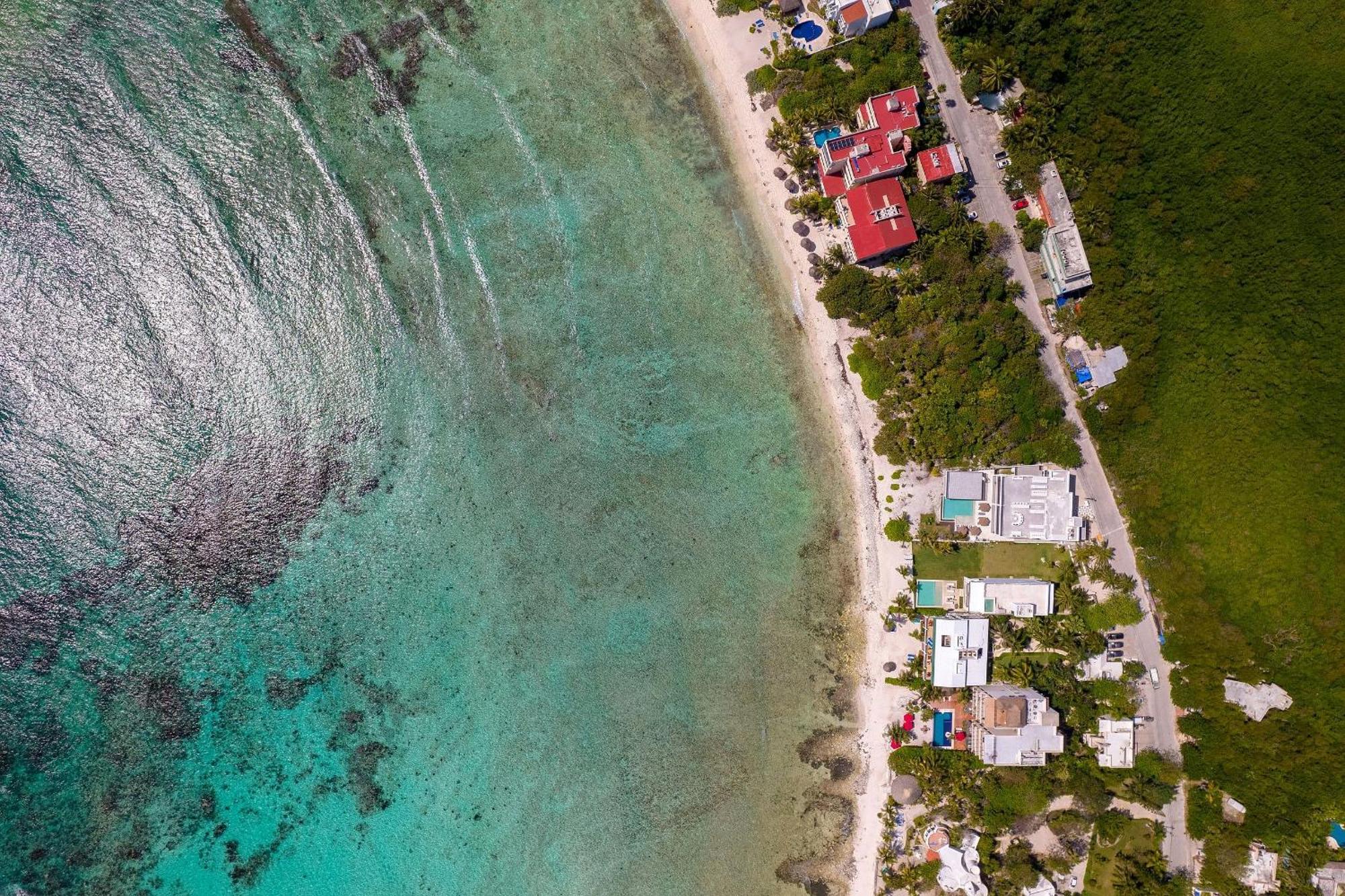8bdr Private Chef -wedding & Retreats /golf Casa Milah Resort