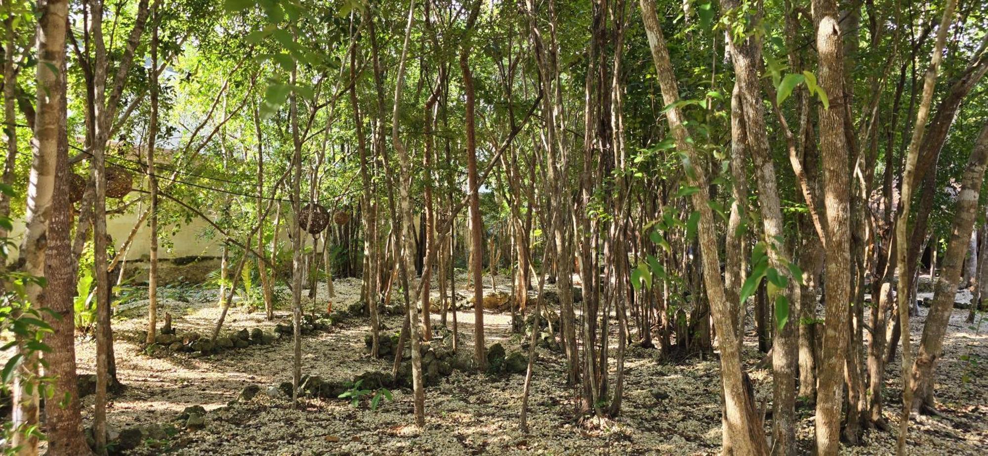 Kin Ii Tulum