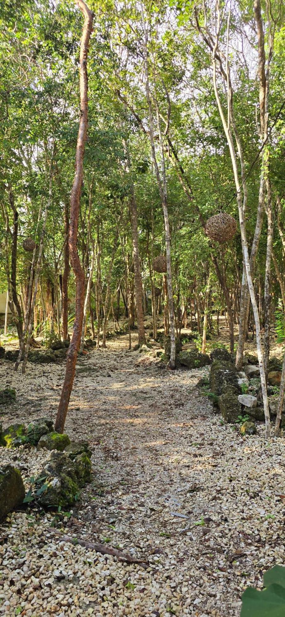 Guest house Kin Ii Tulum