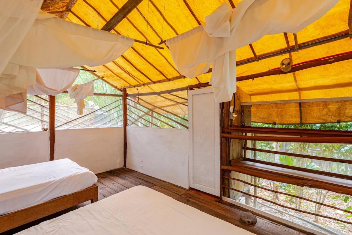 Zapote En Rancho Jaguares Jungle Retreat Campsite Tulum