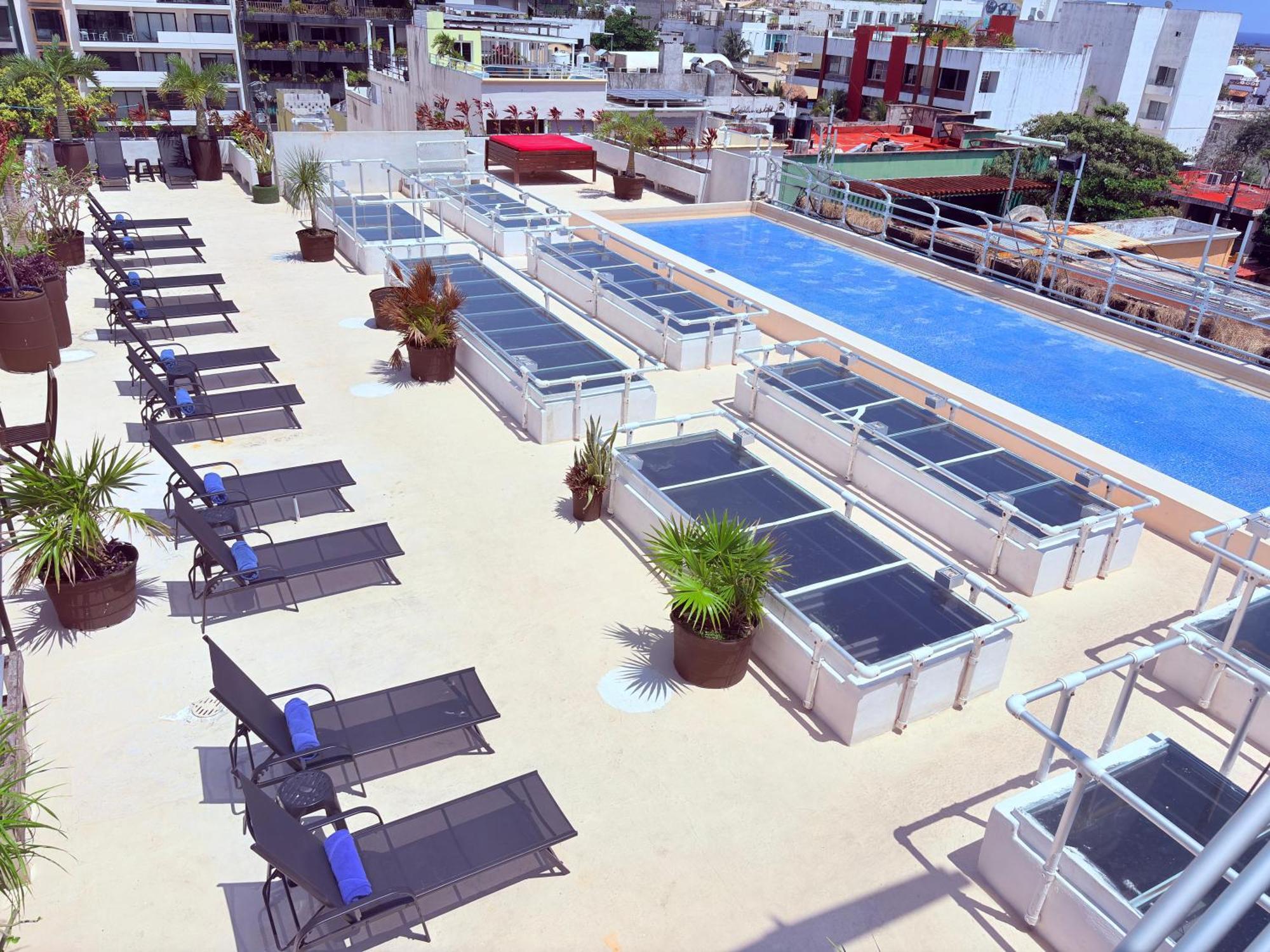 Hotel Reina Roja