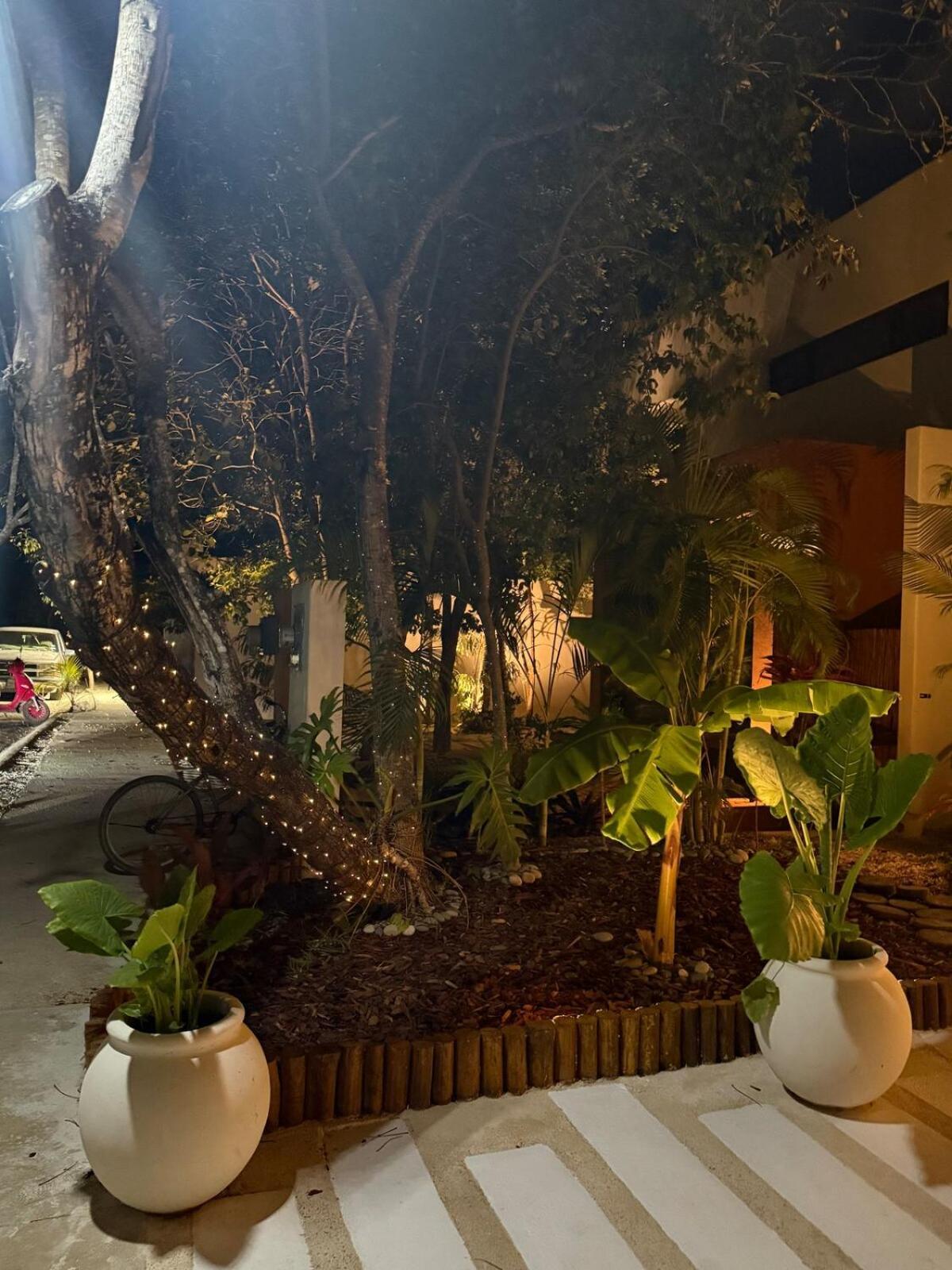 Villa Casa Vida Tulum