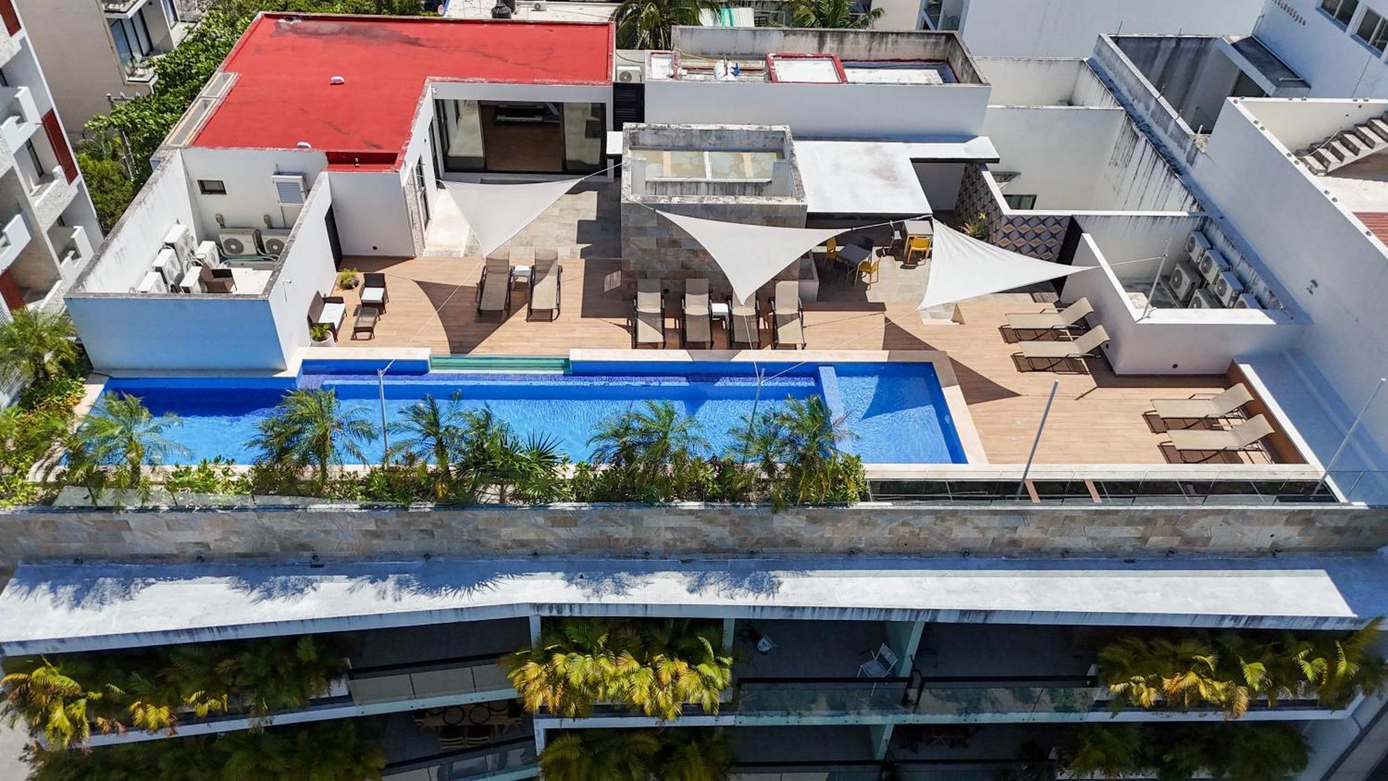 Cozy & New 2br Rooftop, Central, 10min To *
