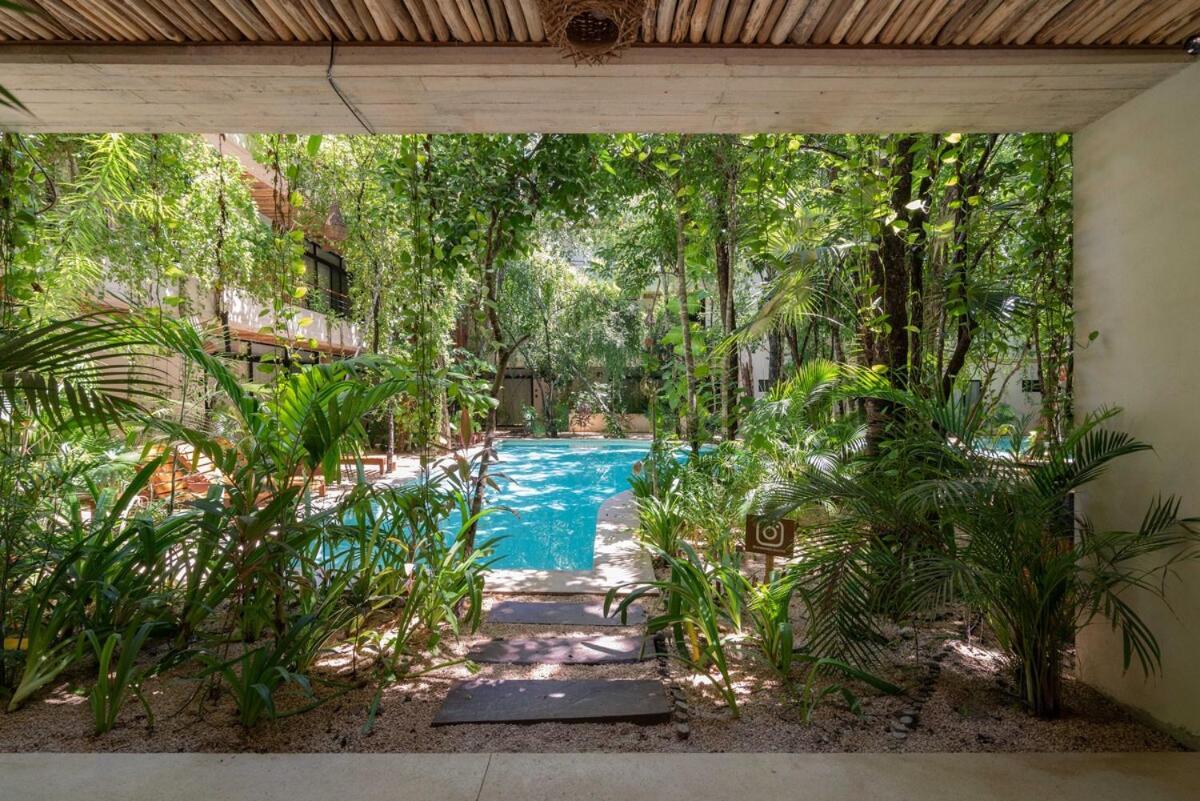 Acinte Tulum
