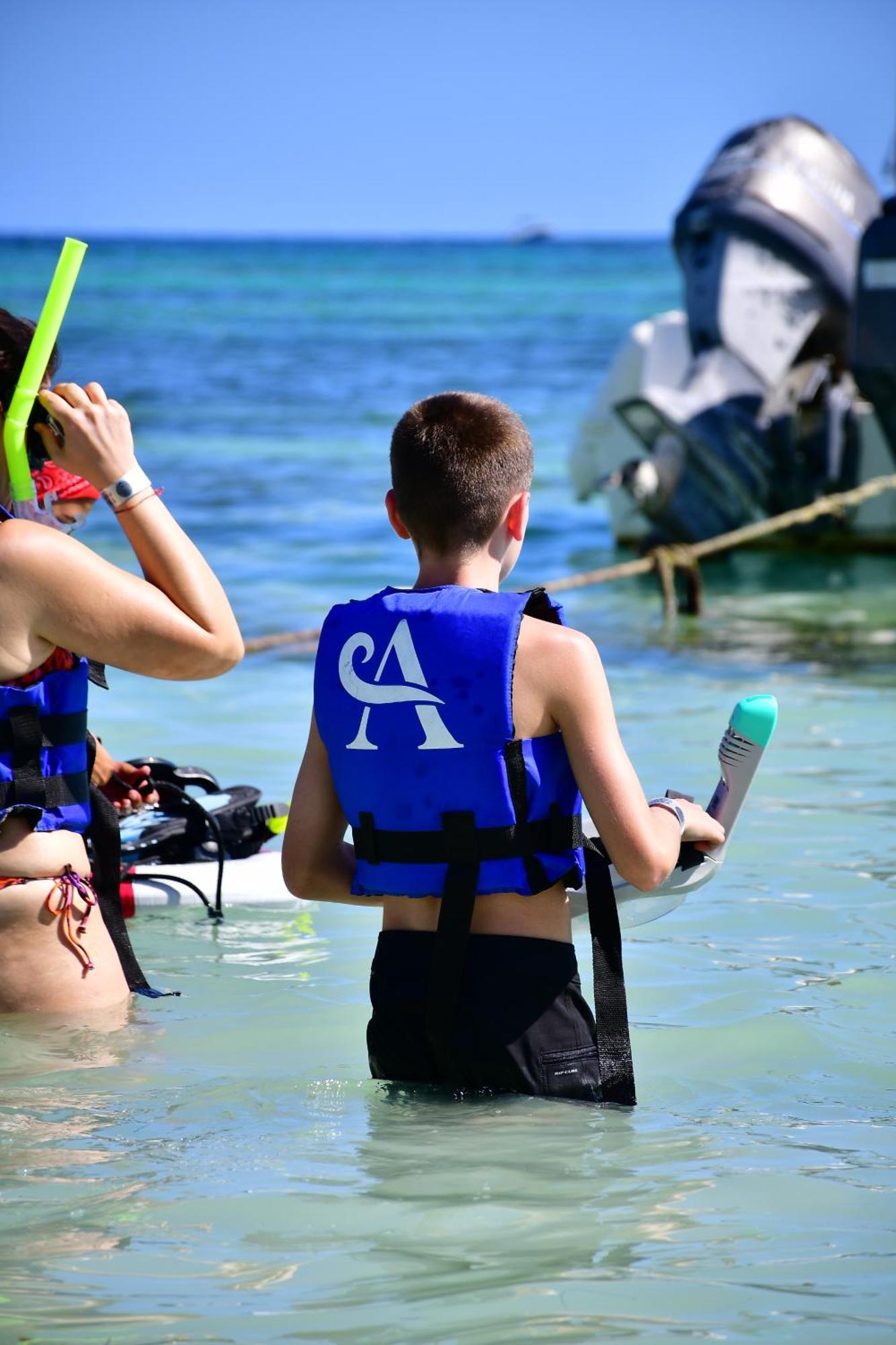 Nado Con Tortugas Marinas En * Akumal
