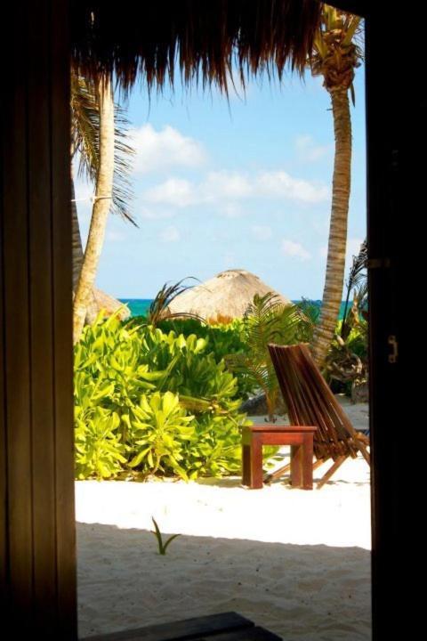 Alojamento Playa Selva