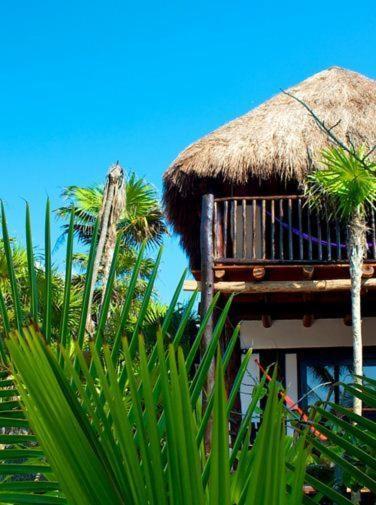 Alojamento Playa Selva