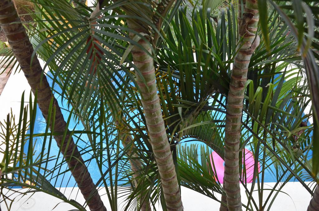 Bed & Breakfast Tu Casa Cozumel