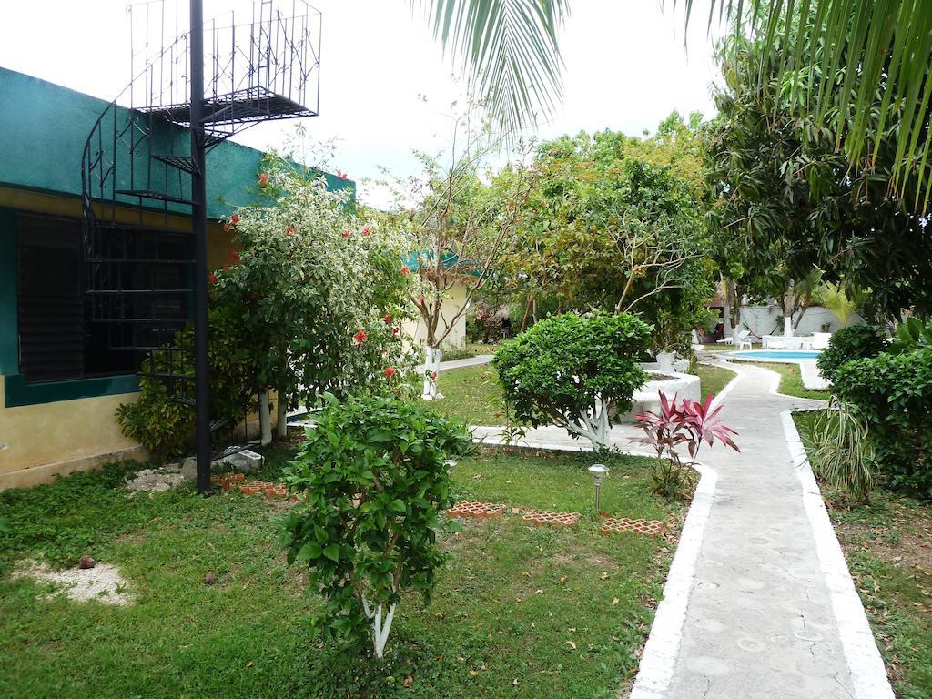 Albergue Amigos *
