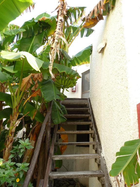 Rancho Sakol Puerto Morelos