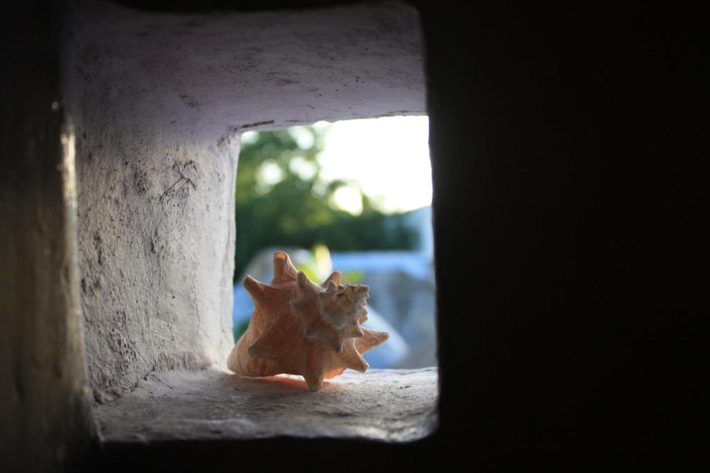 Amaranto Cozumel