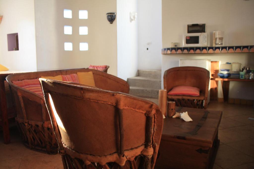 Amaranto Cozumel