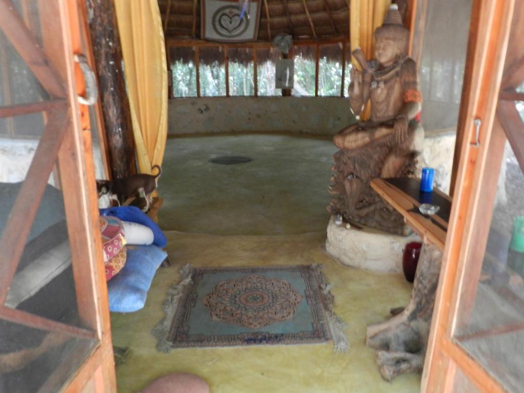 Organic Yoga Mexico