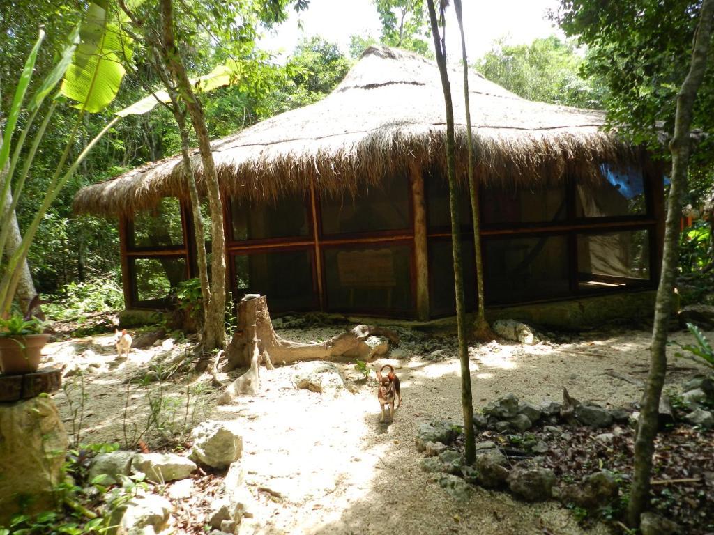 Acomodação com café da manhã  Organic Yoga Mexico