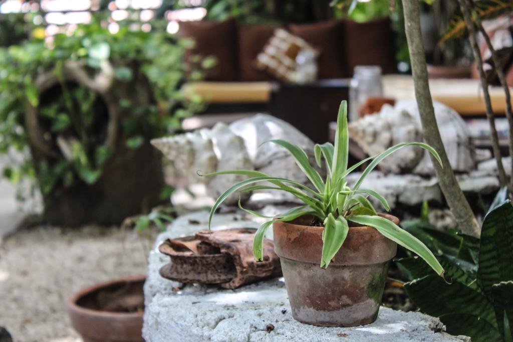 Hotel Secret Garden