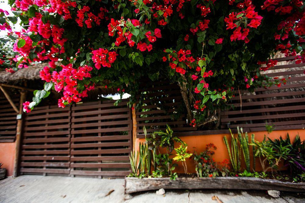 Secret Garden Hotel