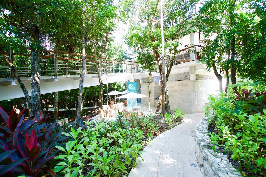 Tao Luxury Mexico