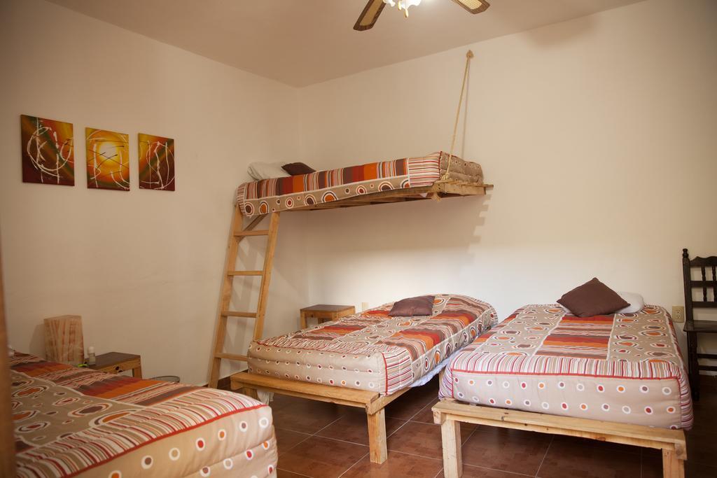 Guest house Casa Alphela 2*