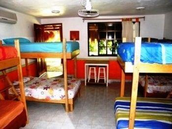 Amigos Albergue *