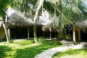 Amigos Albergue