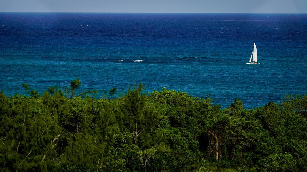 Bianco Sea View *