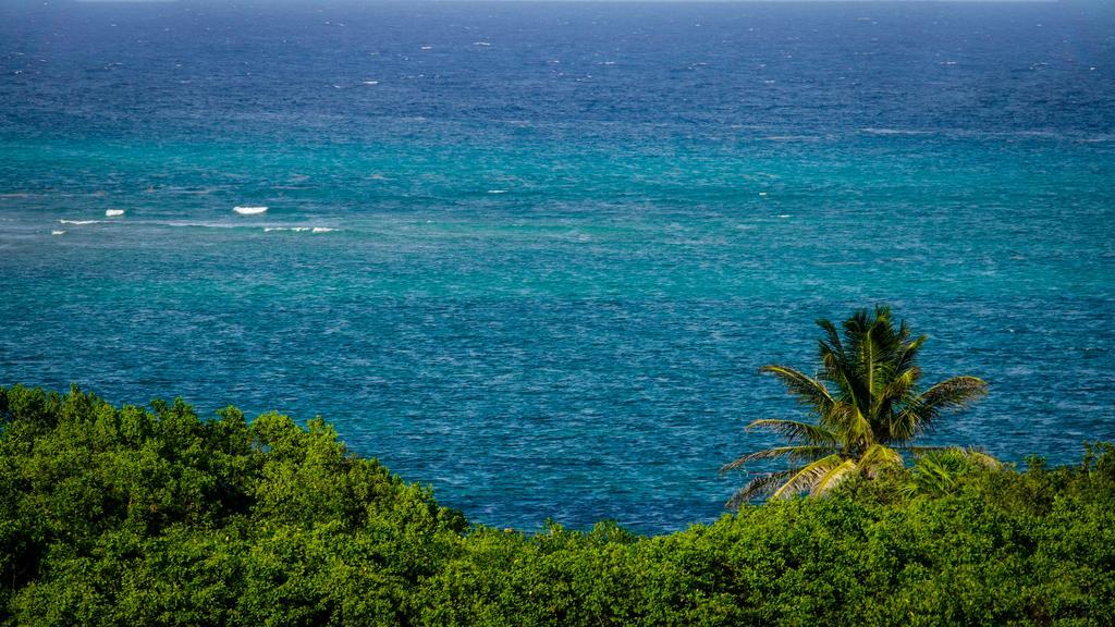 Bianco Sea View