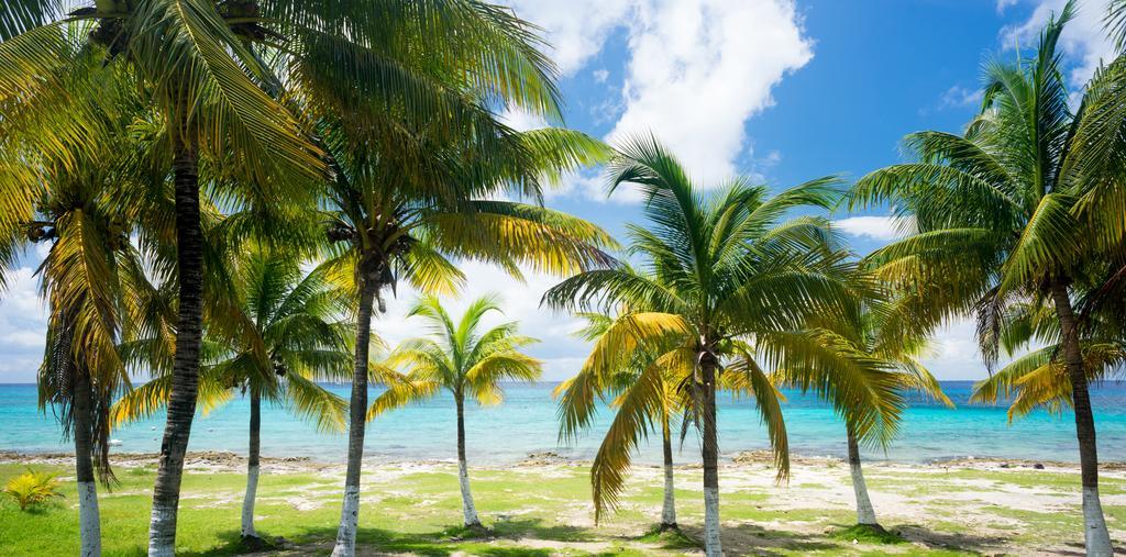 Guidos Boutique Apartment Cozumel
