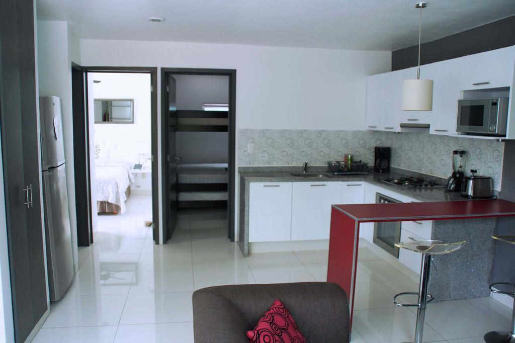 Anemona Playacar Playa del Carmen