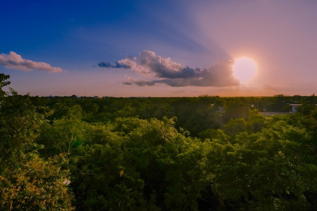 Casa Del Arbol Apartamento Playa del Carmen